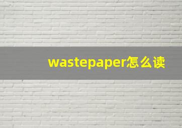 wastepaper怎么读