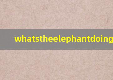 whatstheelephantdoing怎么读