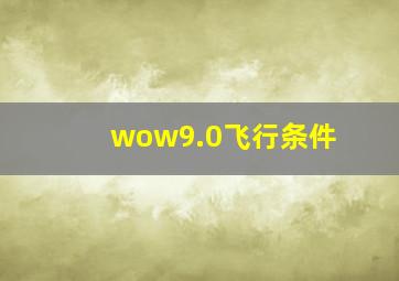 wow9.0飞行条件