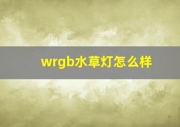 wrgb水草灯怎么样