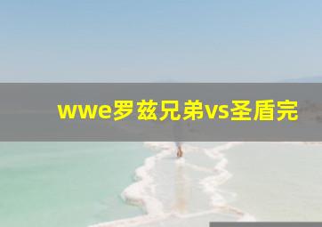 wwe罗兹兄弟vs圣盾完