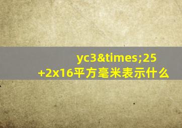 yc3×25+2x16平方毫米表示什么