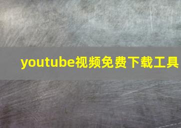 youtube视频免费下载工具