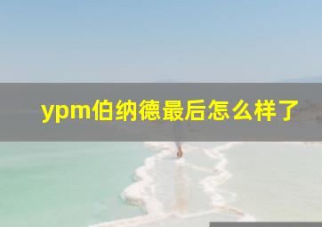 ypm伯纳德最后怎么样了