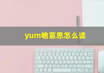 yum啥意思怎么读