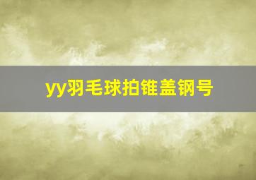 yy羽毛球拍锥盖钢号