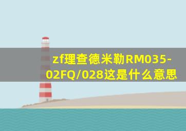 zf理查德米勒RM035-02FQ/028这是什么意思