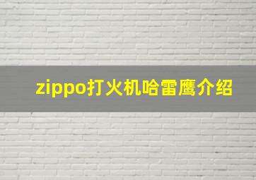 zippo打火机哈雷鹰介绍