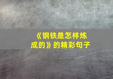 《钢铁是怎样炼成的》的精彩句子