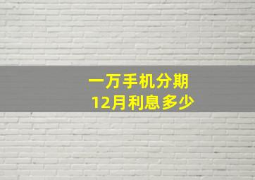 一万手机分期12月利息多少