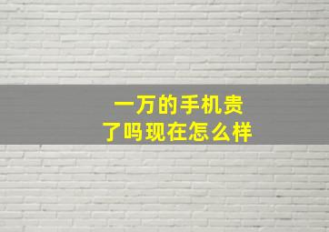 一万的手机贵了吗现在怎么样