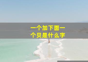 一个加下面一个贝是什么字