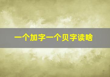 一个加字一个贝字读啥