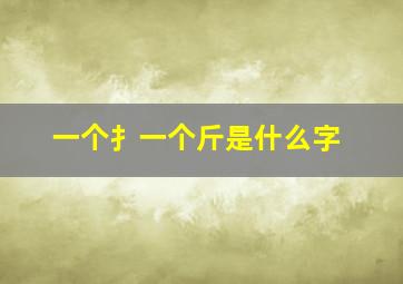 一个扌一个斤是什么字