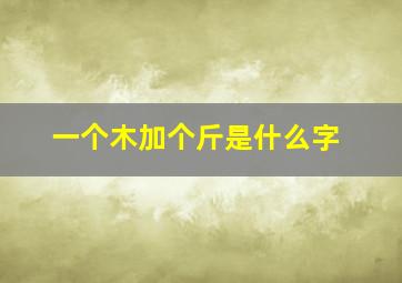 一个木加个斤是什么字