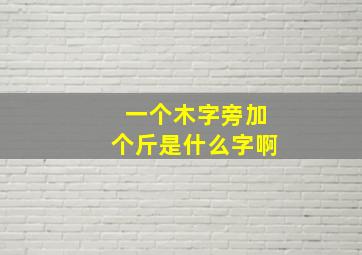 一个木字旁加个斤是什么字啊