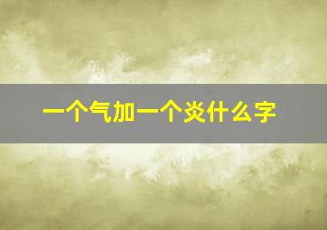 一个气加一个炎什么字