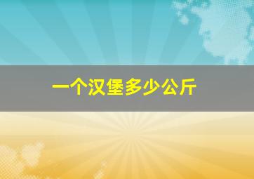 一个汉堡多少公斤