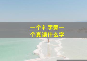 一个礻字旁一个真读什么字