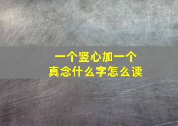 一个竖心加一个真念什么字怎么读