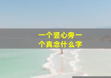 一个竖心旁一个真念什么字