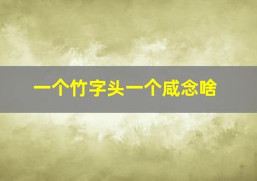 一个竹字头一个咸念啥