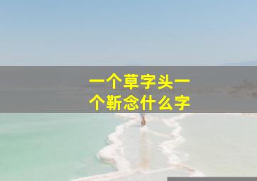 一个草字头一个靳念什么字