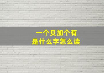 一个贝加个有是什么字怎么读