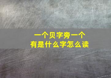 一个贝字旁一个有是什么字怎么读