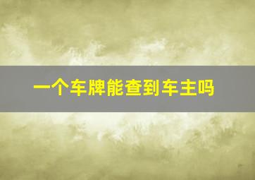 一个车牌能查到车主吗