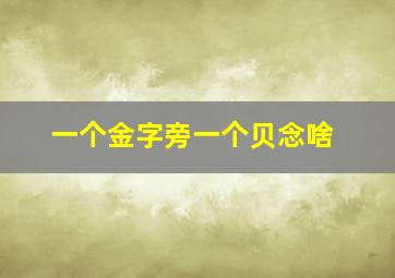 一个金字旁一个贝念啥