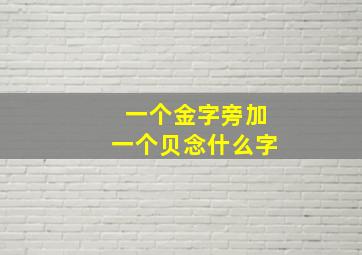 一个金字旁加一个贝念什么字