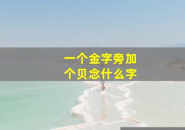 一个金字旁加个贝念什么字