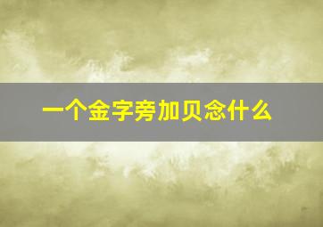 一个金字旁加贝念什么