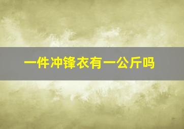 一件冲锋衣有一公斤吗