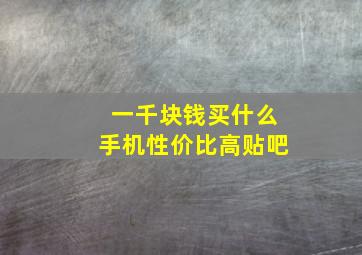 一千块钱买什么手机性价比高贴吧