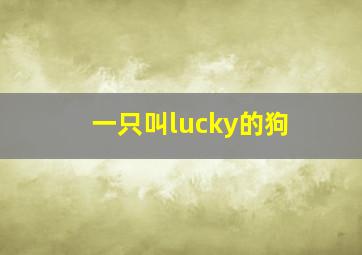 一只叫lucky的狗