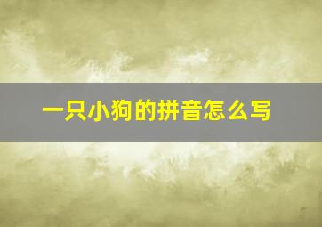 一只小狗的拼音怎么写