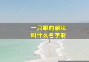 一只眼的潮牌叫什么名字啊