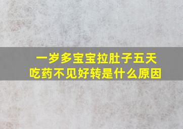 一岁多宝宝拉肚子五天吃药不见好转是什么原因