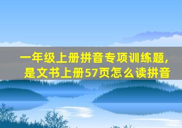 一年级上册拼音专项训练题,是文书上册57页怎么读拼音