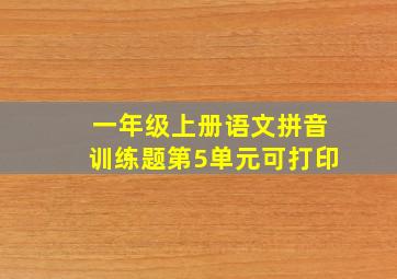 一年级上册语文拼音训练题第5单元可打印