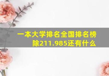 一本大学排名全国排名榜除211.985还有什么