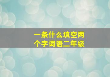 一条什么填空两个字词语二年级