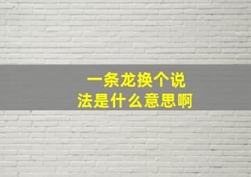 一条龙换个说法是什么意思啊