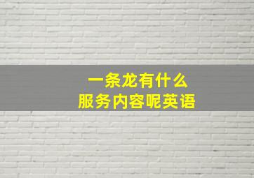 一条龙有什么服务内容呢英语