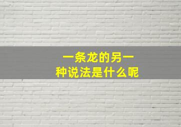 一条龙的另一种说法是什么呢