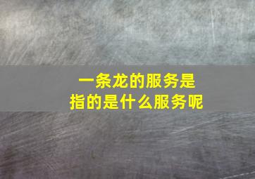 一条龙的服务是指的是什么服务呢