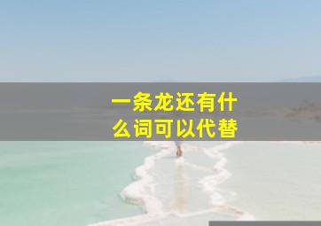 一条龙还有什么词可以代替