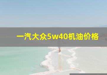 一汽大众5w40机油价格